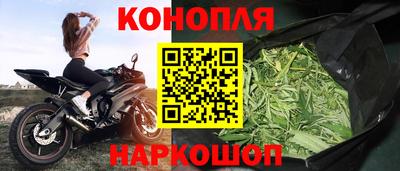 прущие крисы Гусиноозёрск