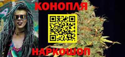 прущие крисы Гусиноозёрск